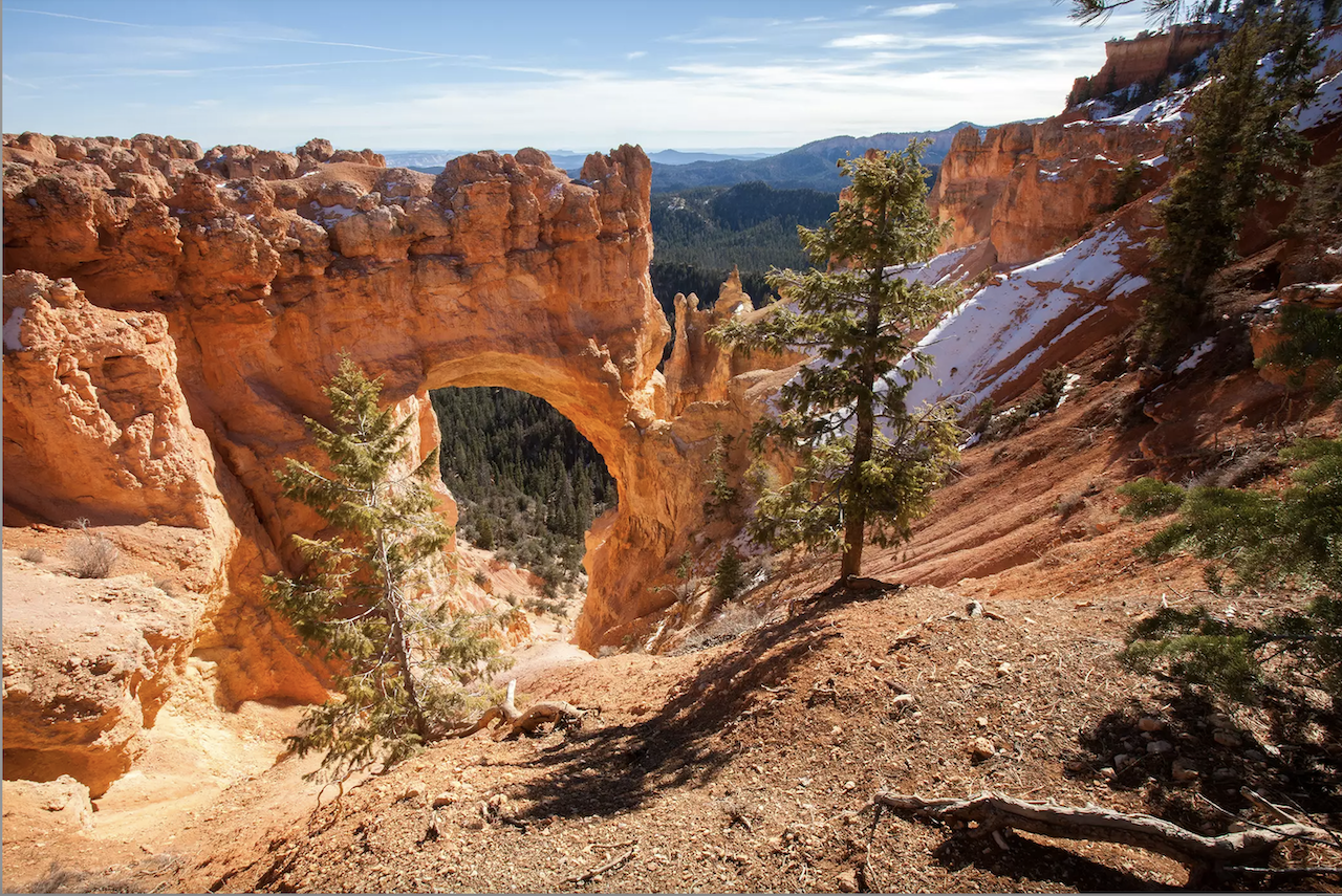 Screen Shot 2025-04-08 at 1.03.37 PM