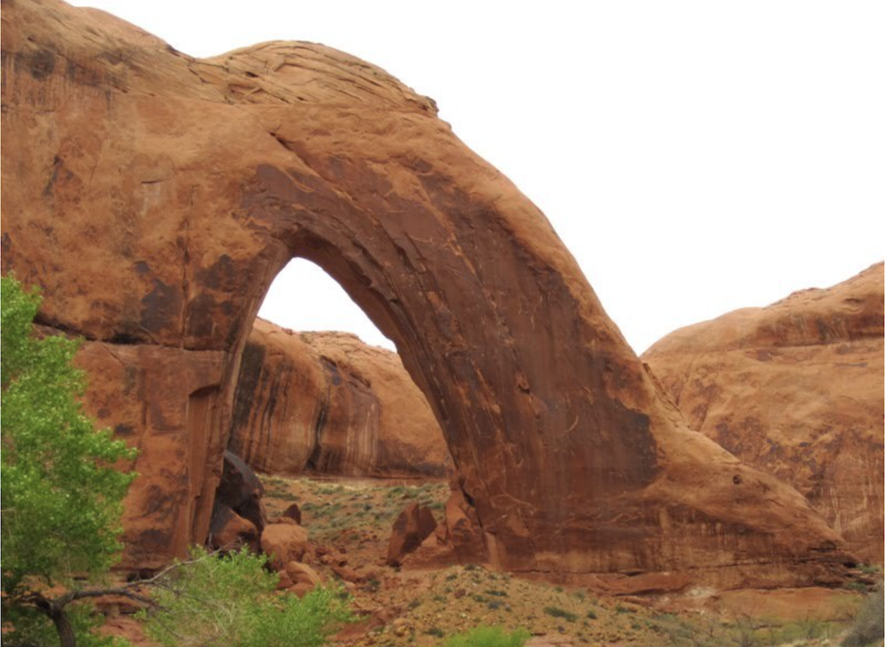 Screen Shot 2025-04-08 at 2.24.07 PM